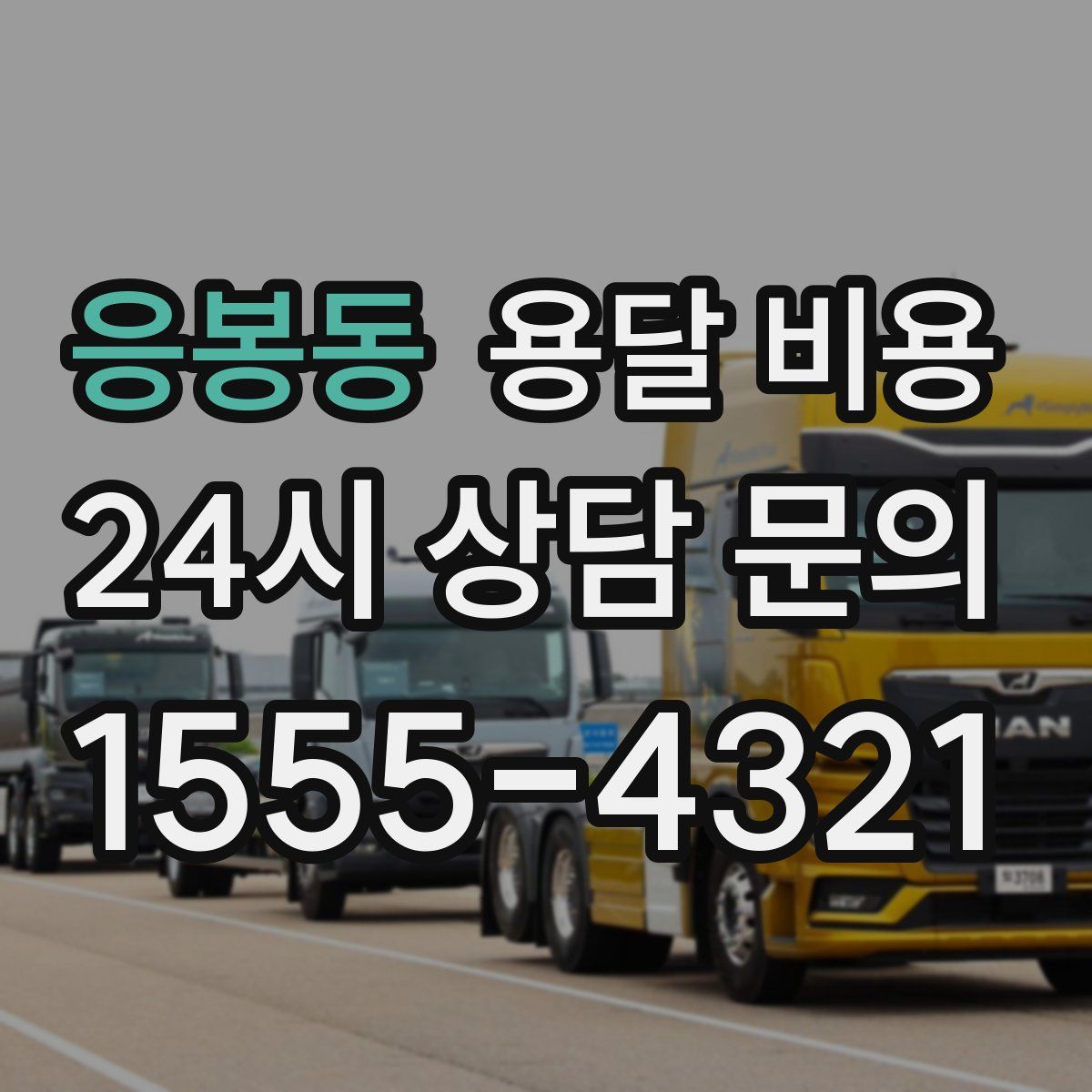 응봉동 용달 비용