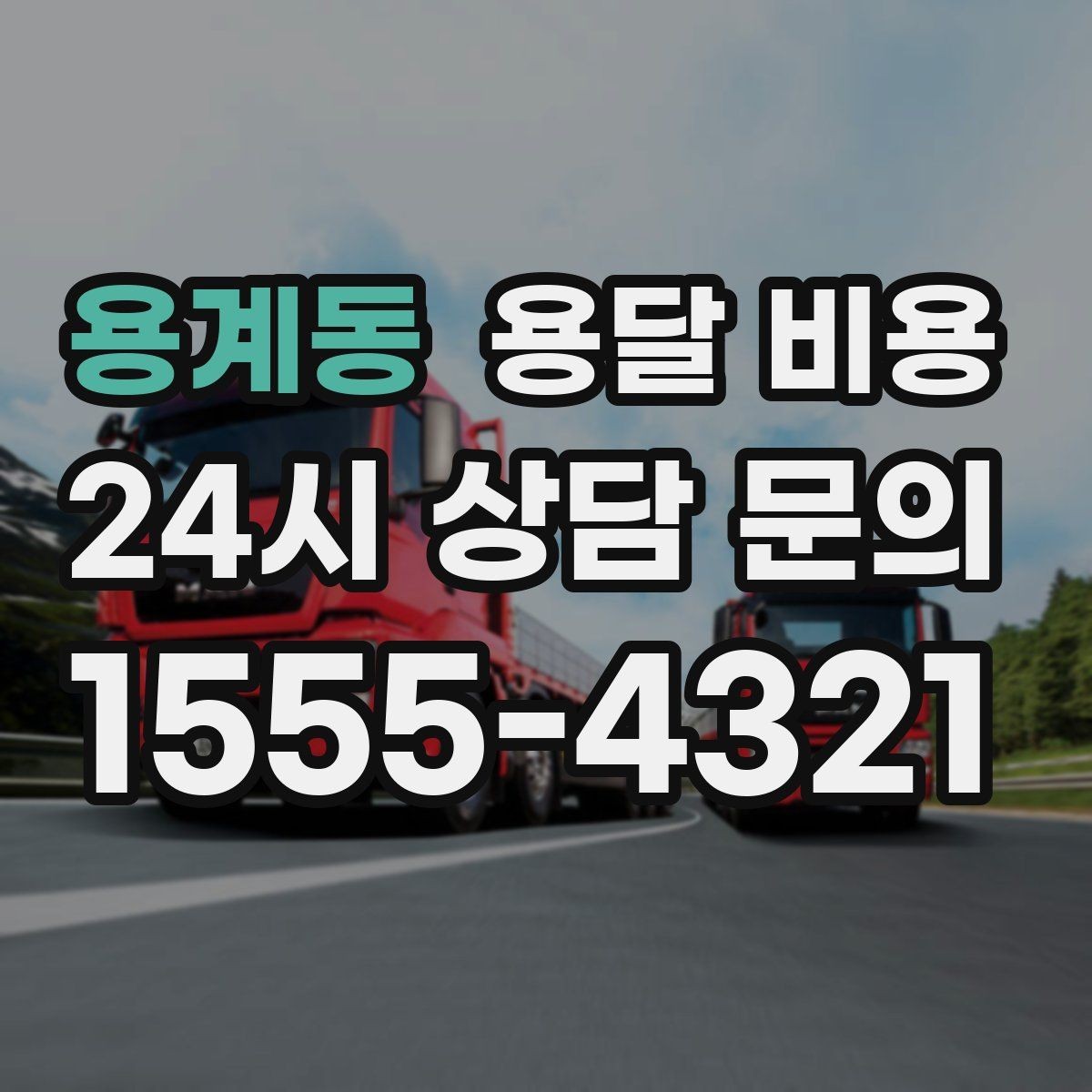 용계동 용달 비용 경험 많은 업체 선택 기준