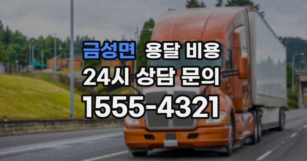 금성면 용달 비용