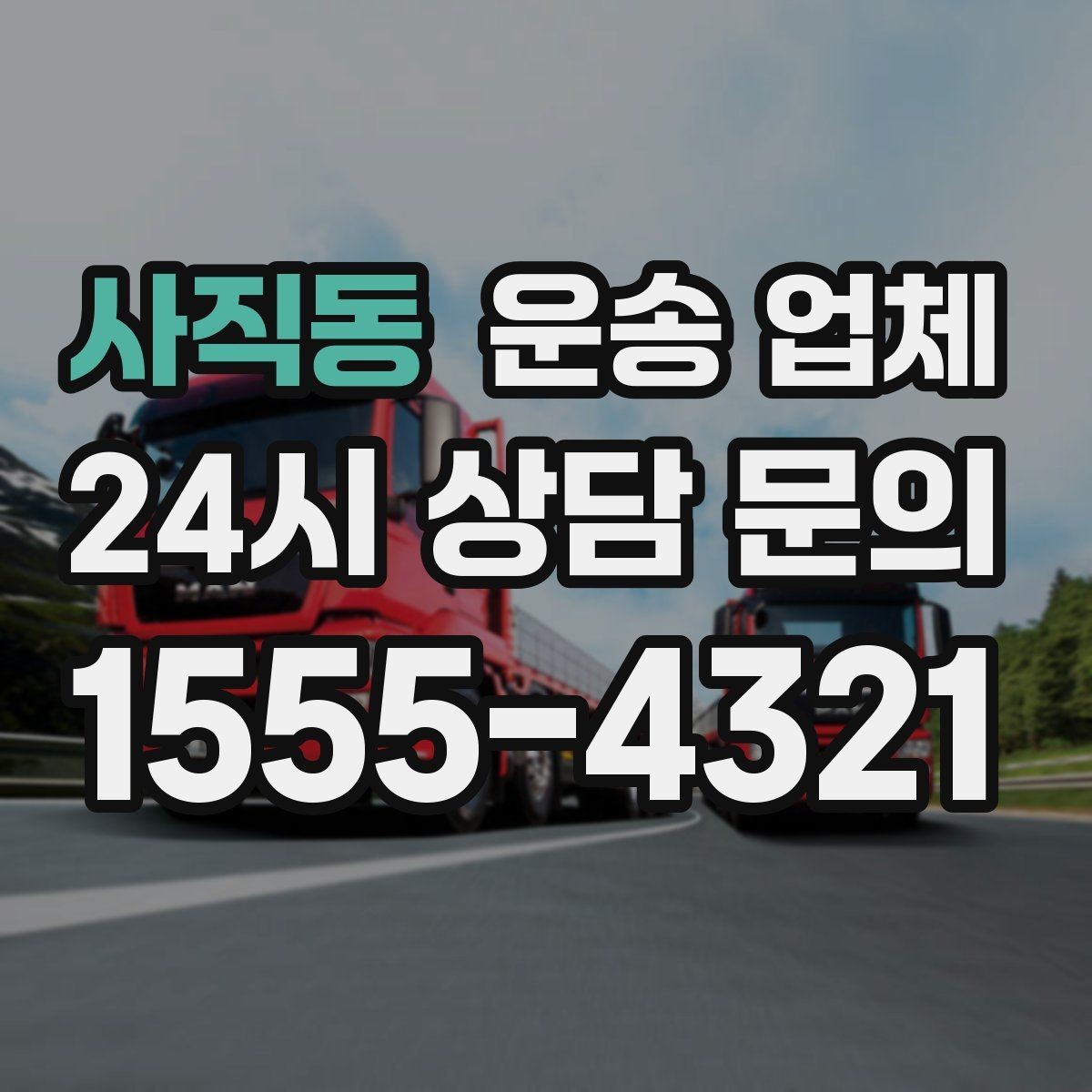 사직동 운송 업체 실제 경험 기반으로 정리