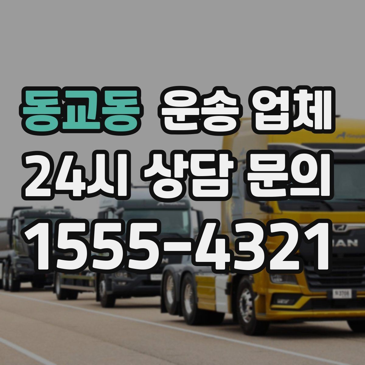 동교동 운송 업체 사다리차 포함 시 전체 비용 구조