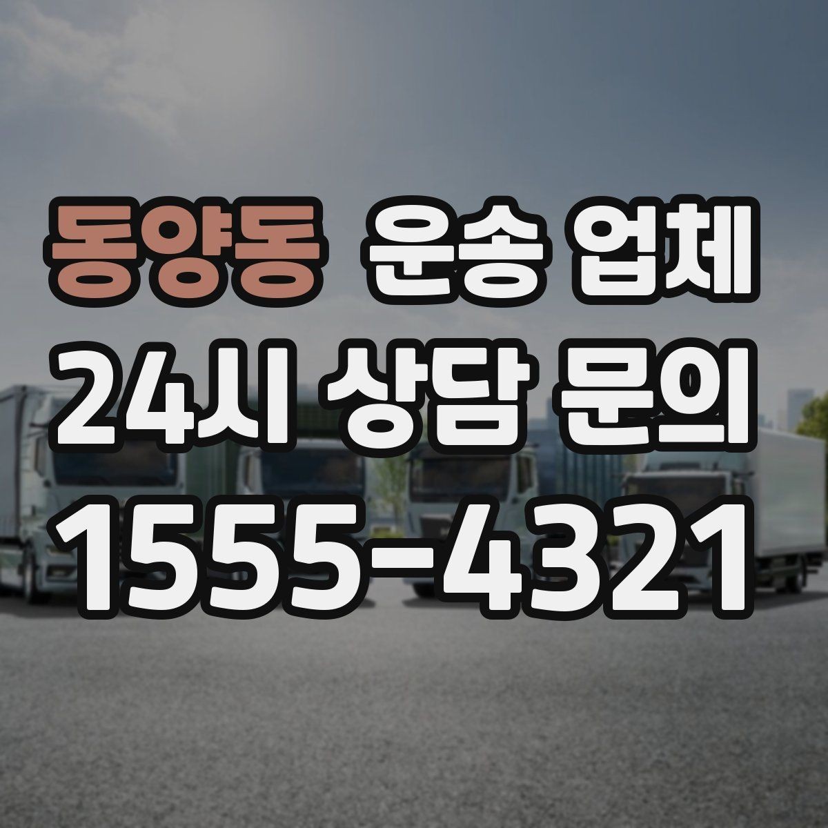 동양동 운송 업체 처음 이용자를 위한 현실적인 가이드