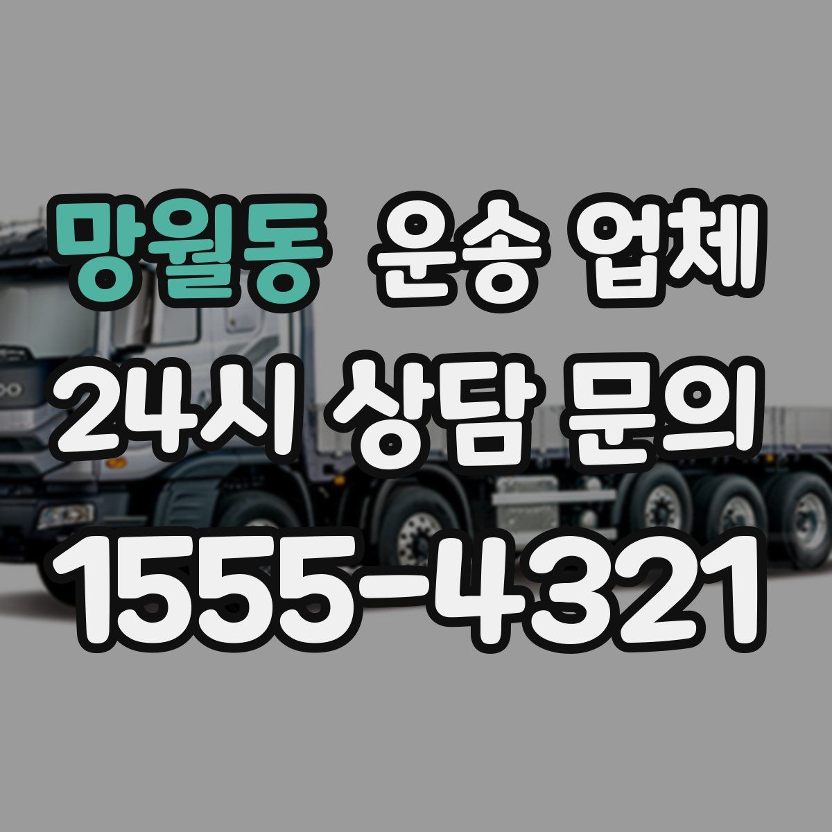 망월동 운송 업체