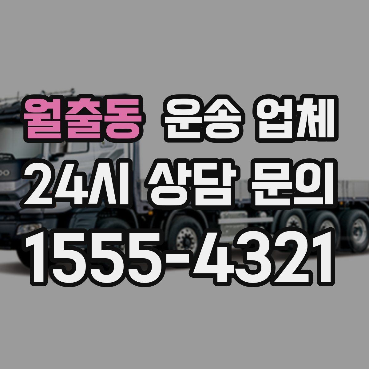 월출동 운송 업체 가격 차이가 나는 이유 정리