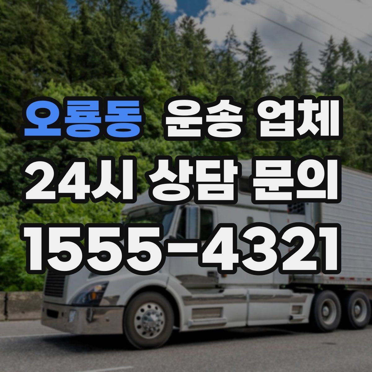 오룡동 운송 업체 짐 양에 따른 비용 기준