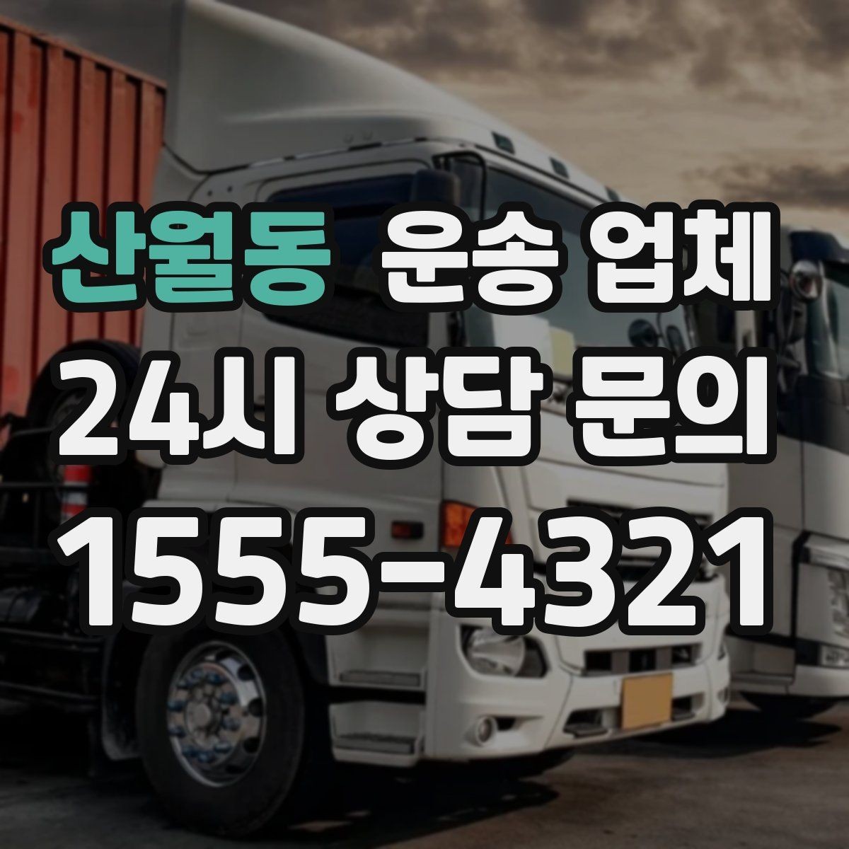 산월동 운송 업체 신뢰할 수 있는 곳 고르는 방법