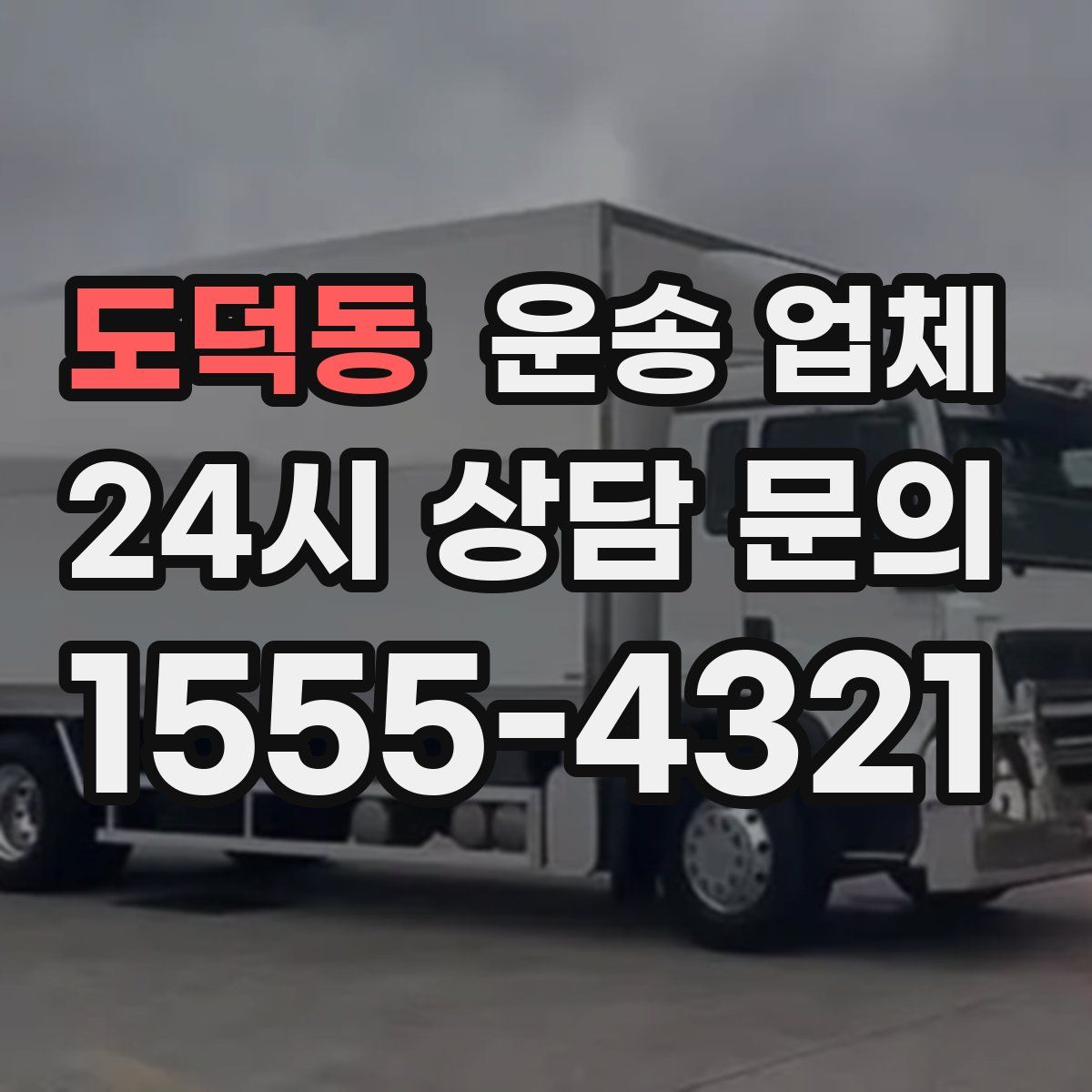 도덕동 운송 업체