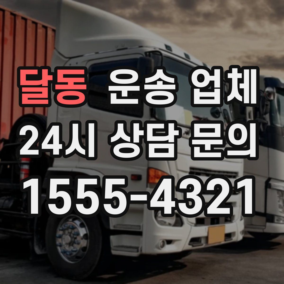 달동 운송 업체