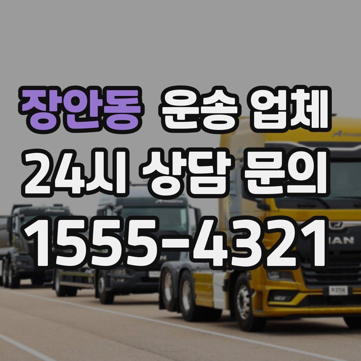 장안동 운송 업체 단순 운송과 종합 서비스 차이 정리