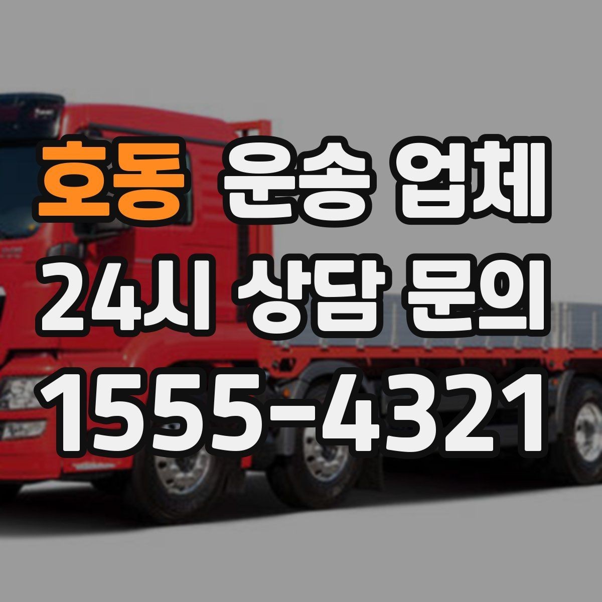 호동 운송 업체 차량 종류별 특징 비교