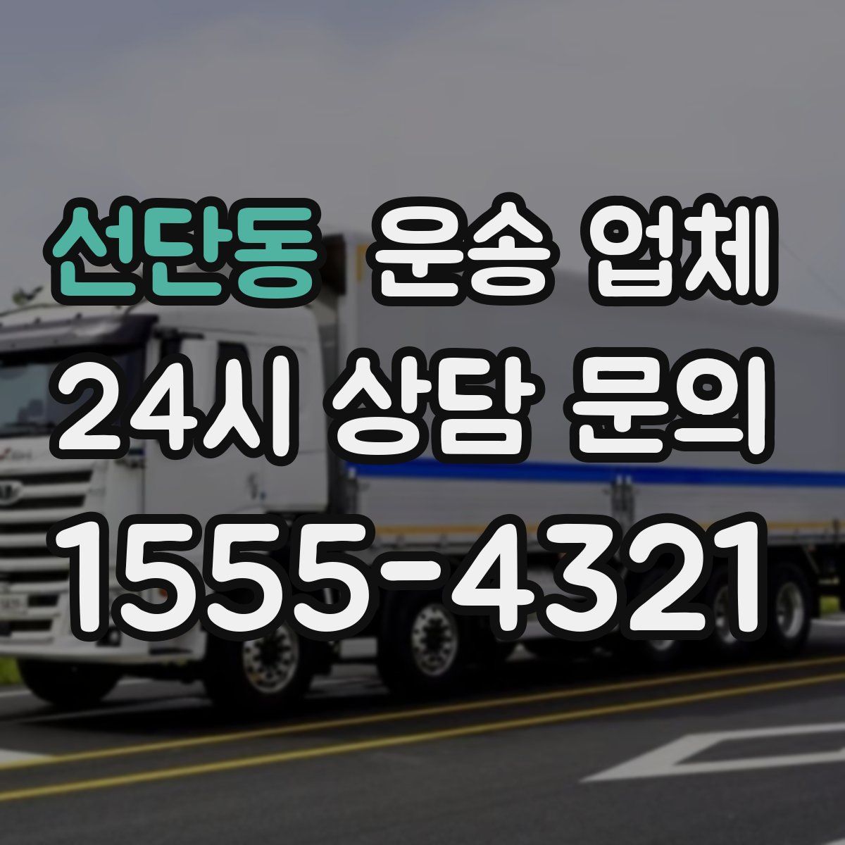 선단동 운송 업체