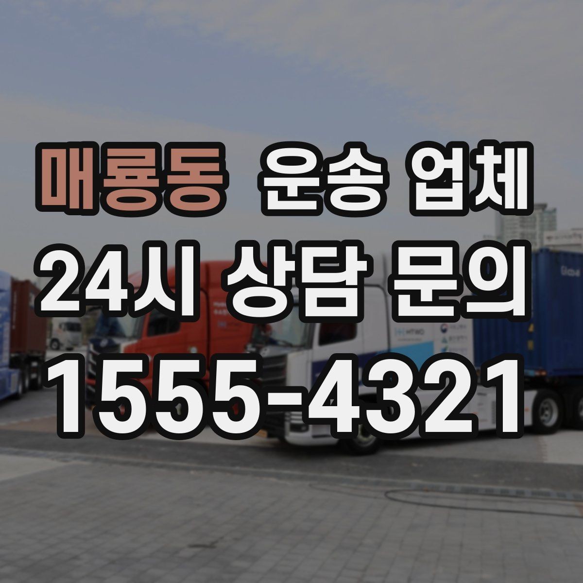 매룡동 운송 업체 현실적인 선택 기준 총정리