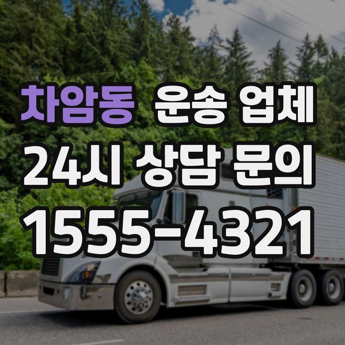 차암동 운송 업체 후기 분석 제대로 하는 방법