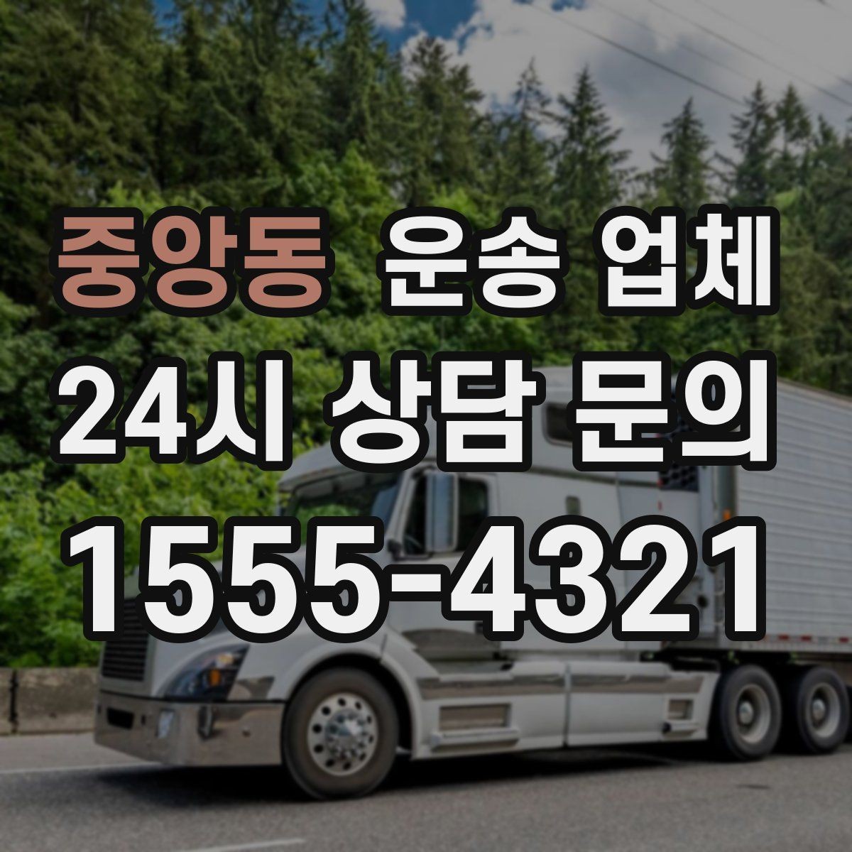 중앙동 운송 업체 짐 양에 따른 비용 기준