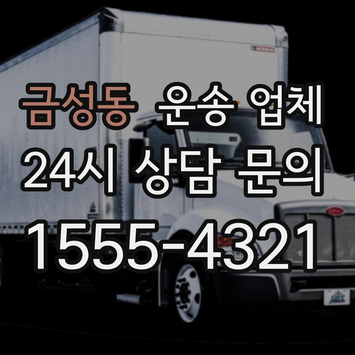 금성동 운송 업체