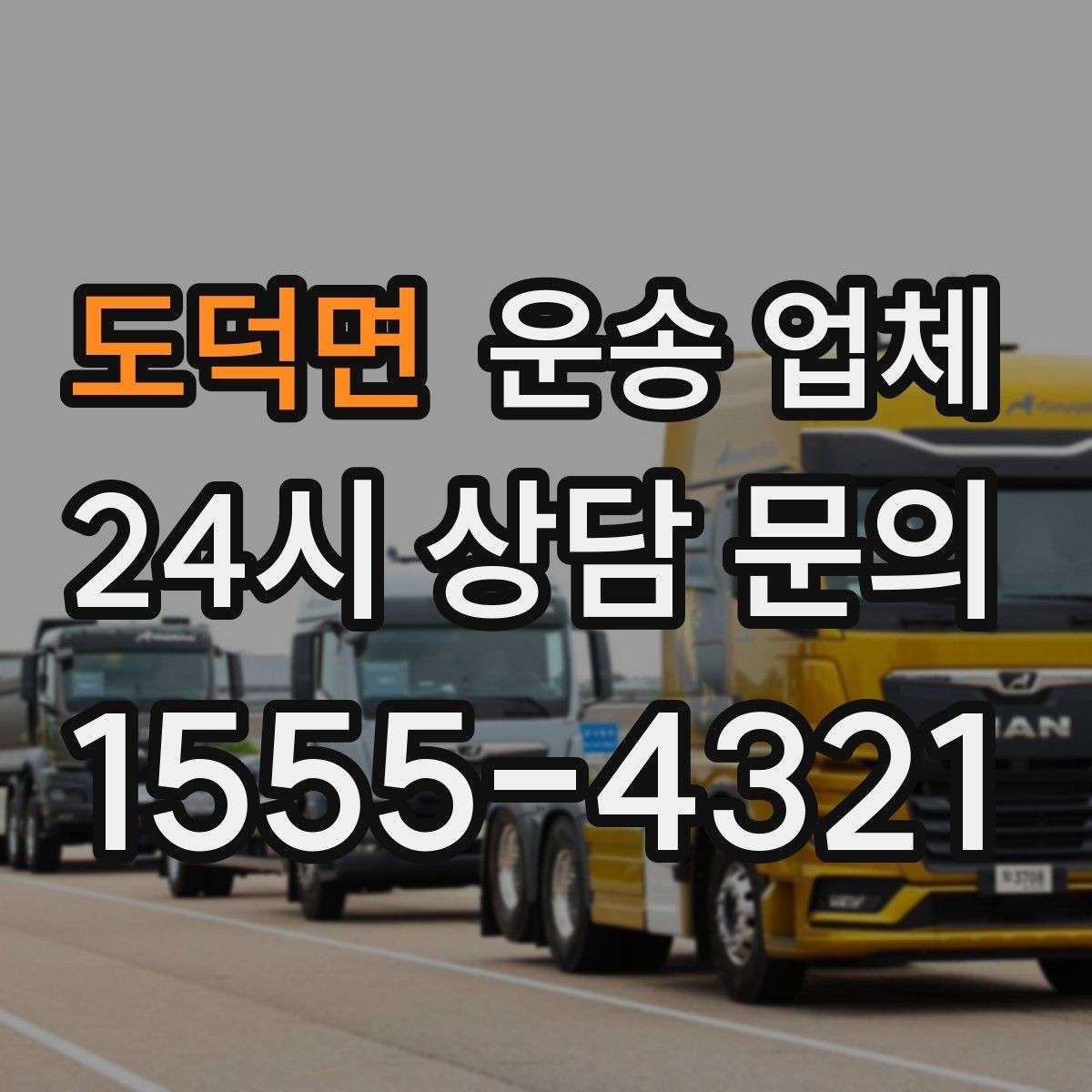 도덕면 운송 업체 당일 이용 시 주의사항