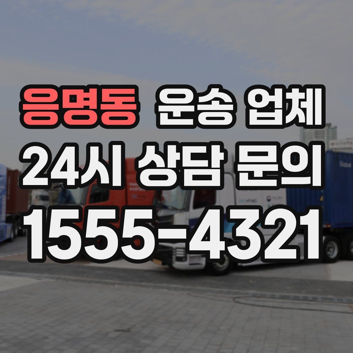 응명동 운송 업체 여러 업체 비교 시 핵심 기준