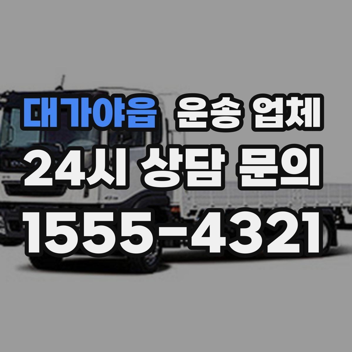 대가야읍 운송 업체 당일 이용 시 꼭 알아야 할 점