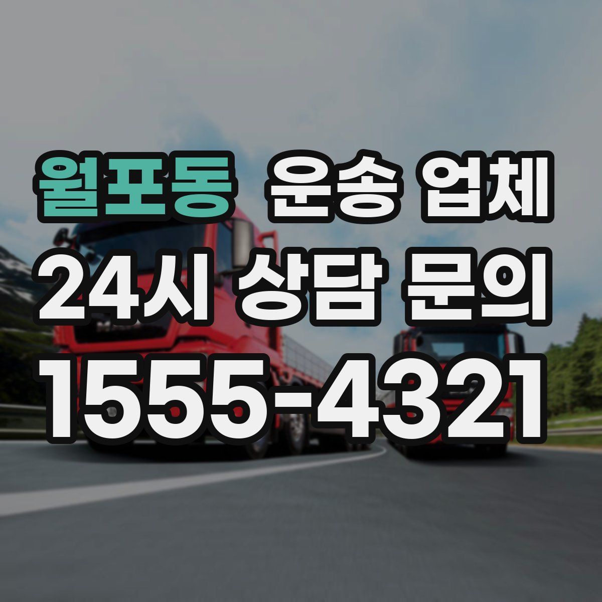 월포동 운송 업체