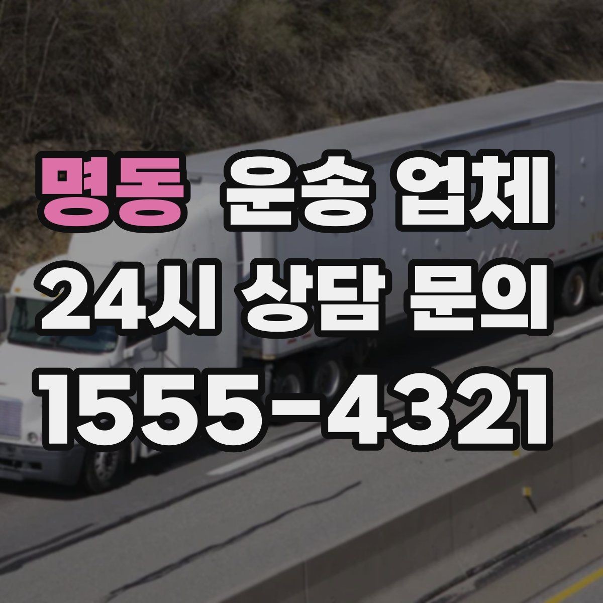 명동 운송 업체 비용 대비 효율 높이는 방법
