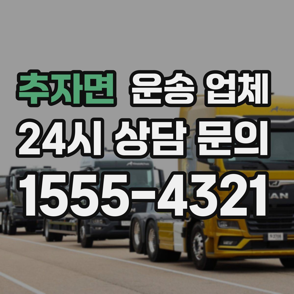 추자면 운송 업체