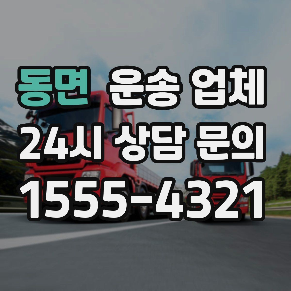 동면 운송 업체 가장 현실적인 비교 기준