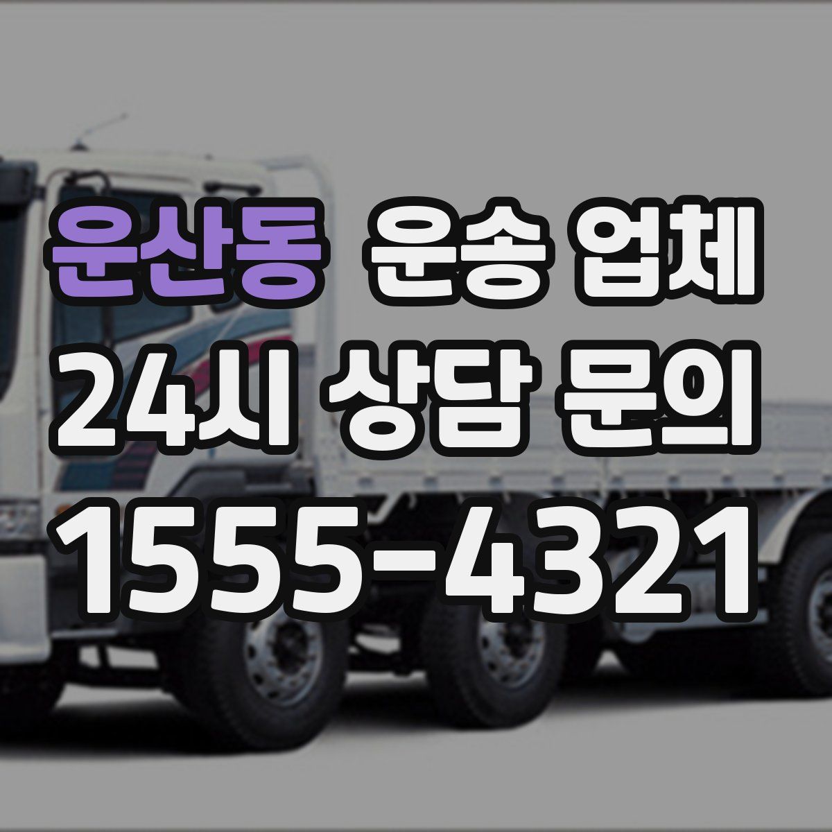 운산동 운송 업체