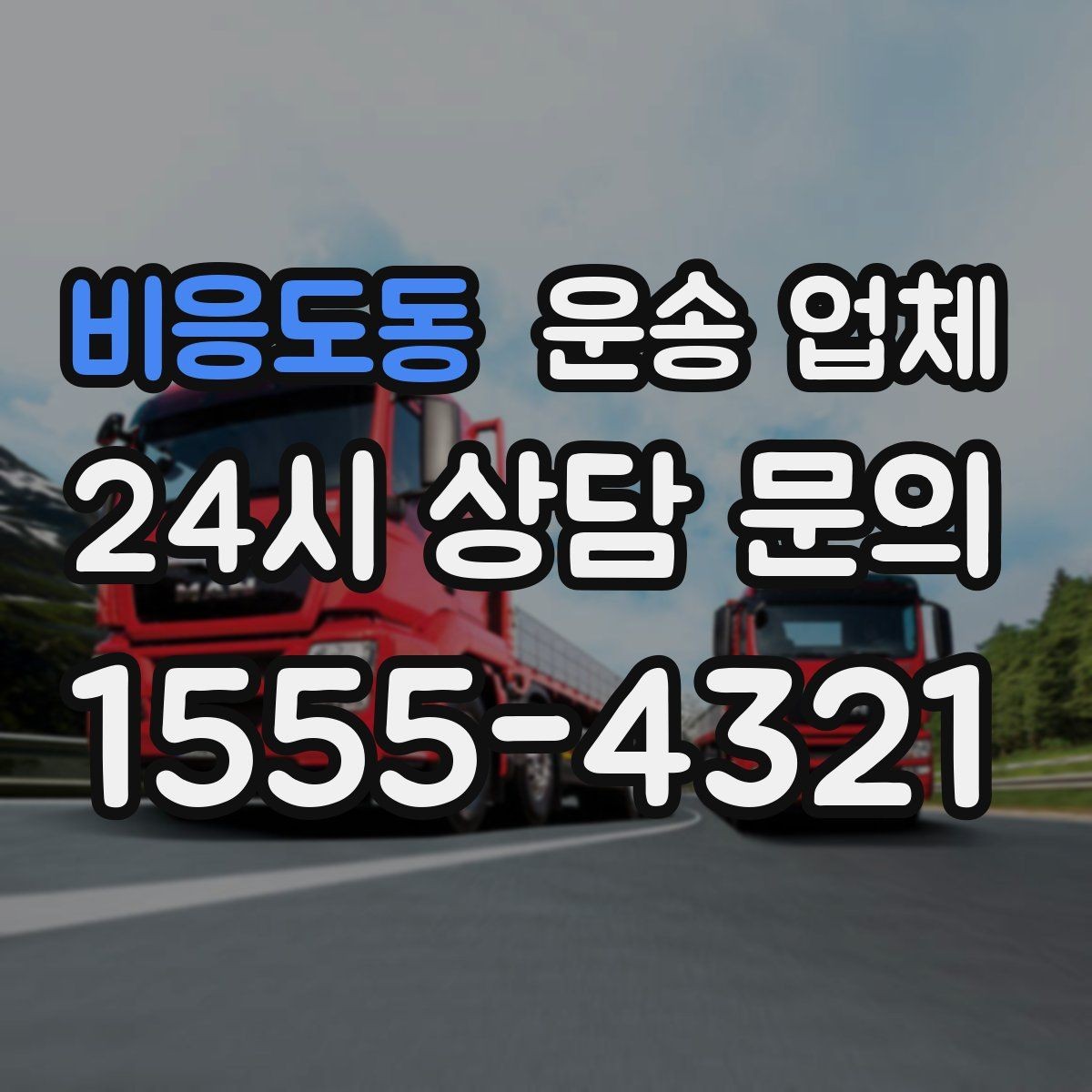 비응도동 운송 업체 실제 경험 기반 핵심 정리