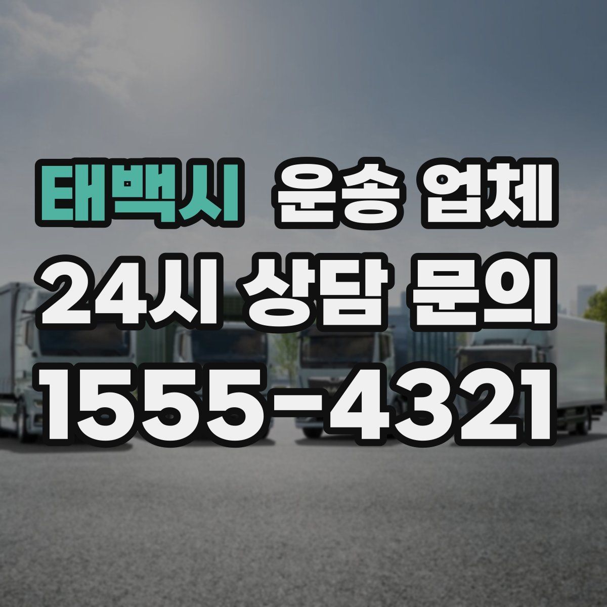 태백시 운송 업체