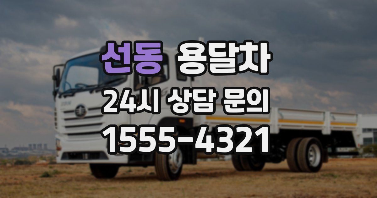 선동 용달차