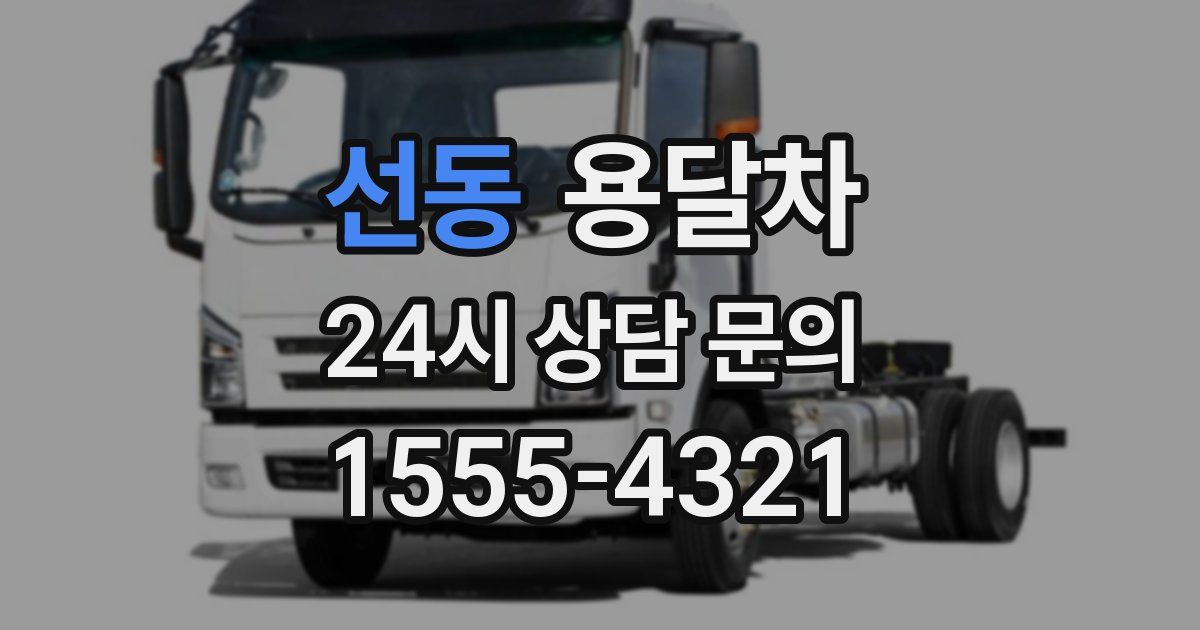 선동 용달차