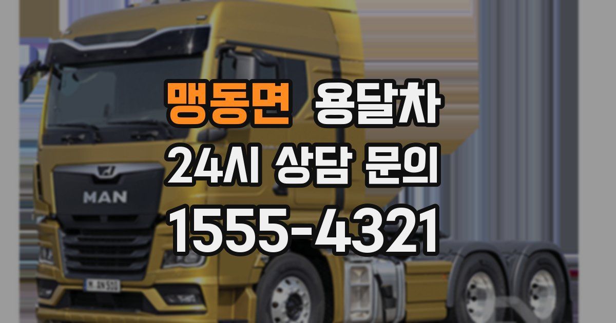 맹동면 용달차