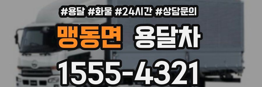 맹동면 용달차