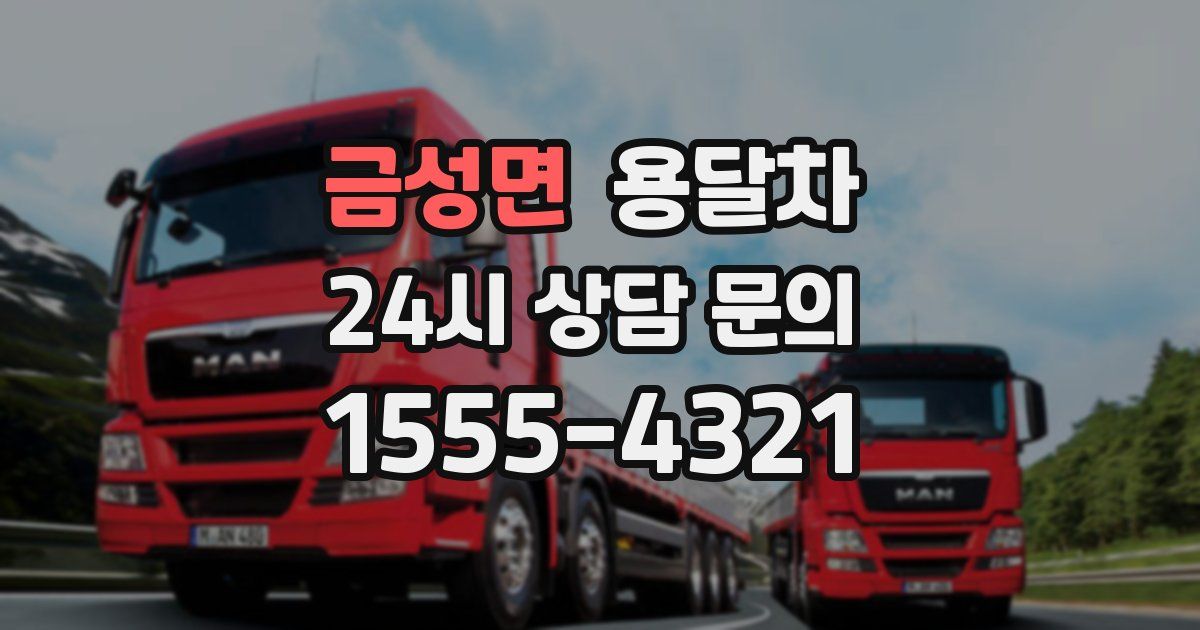 금성면 용달차