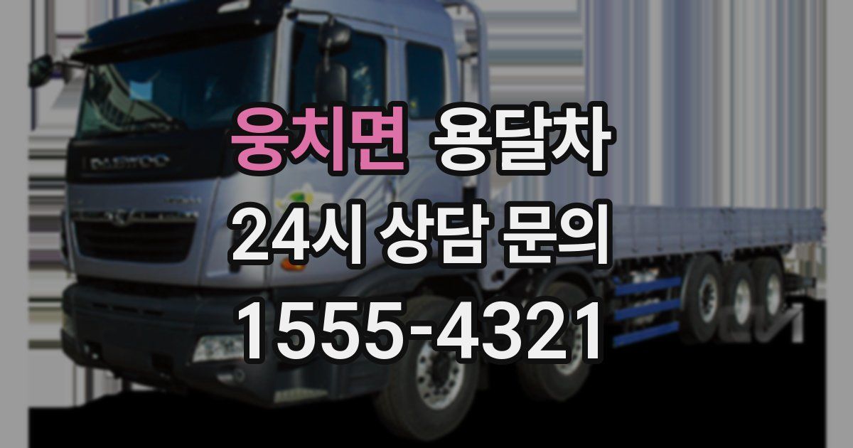 웅치면 용달차