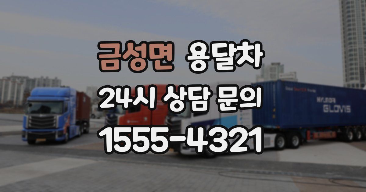 금성면 용달차
