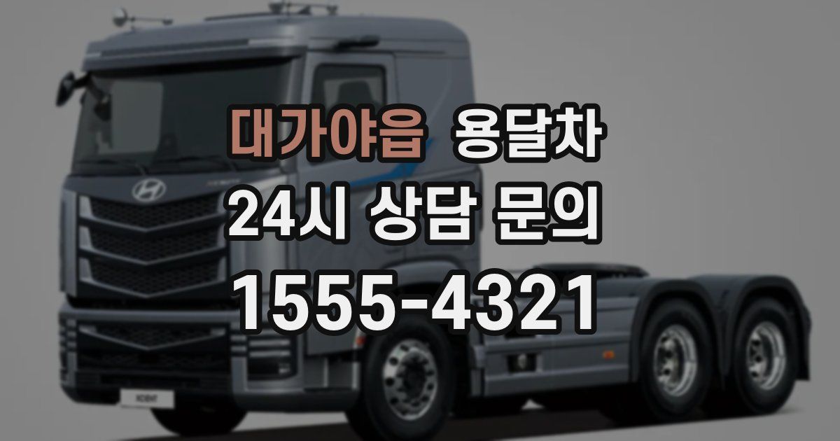 대가야읍 용달차
