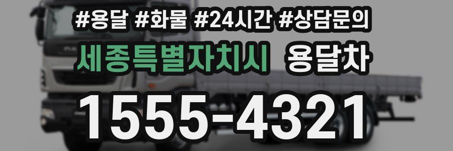 세종특별자치시 용달차