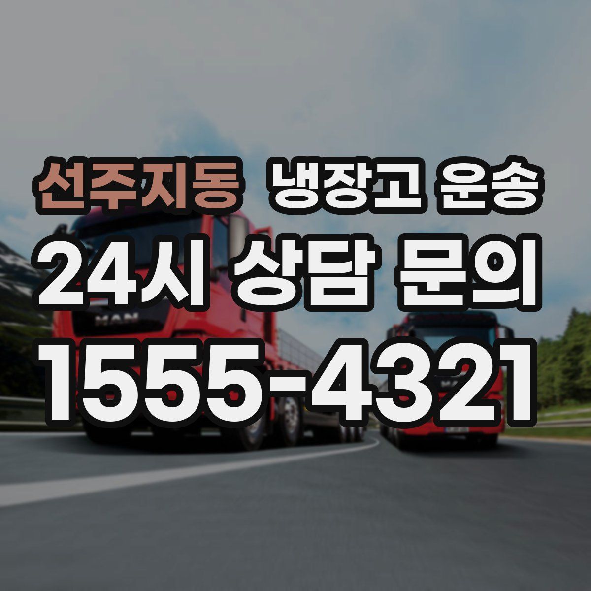 선주지동 냉장고 운송