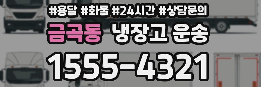 금곡동 냉장고 운송