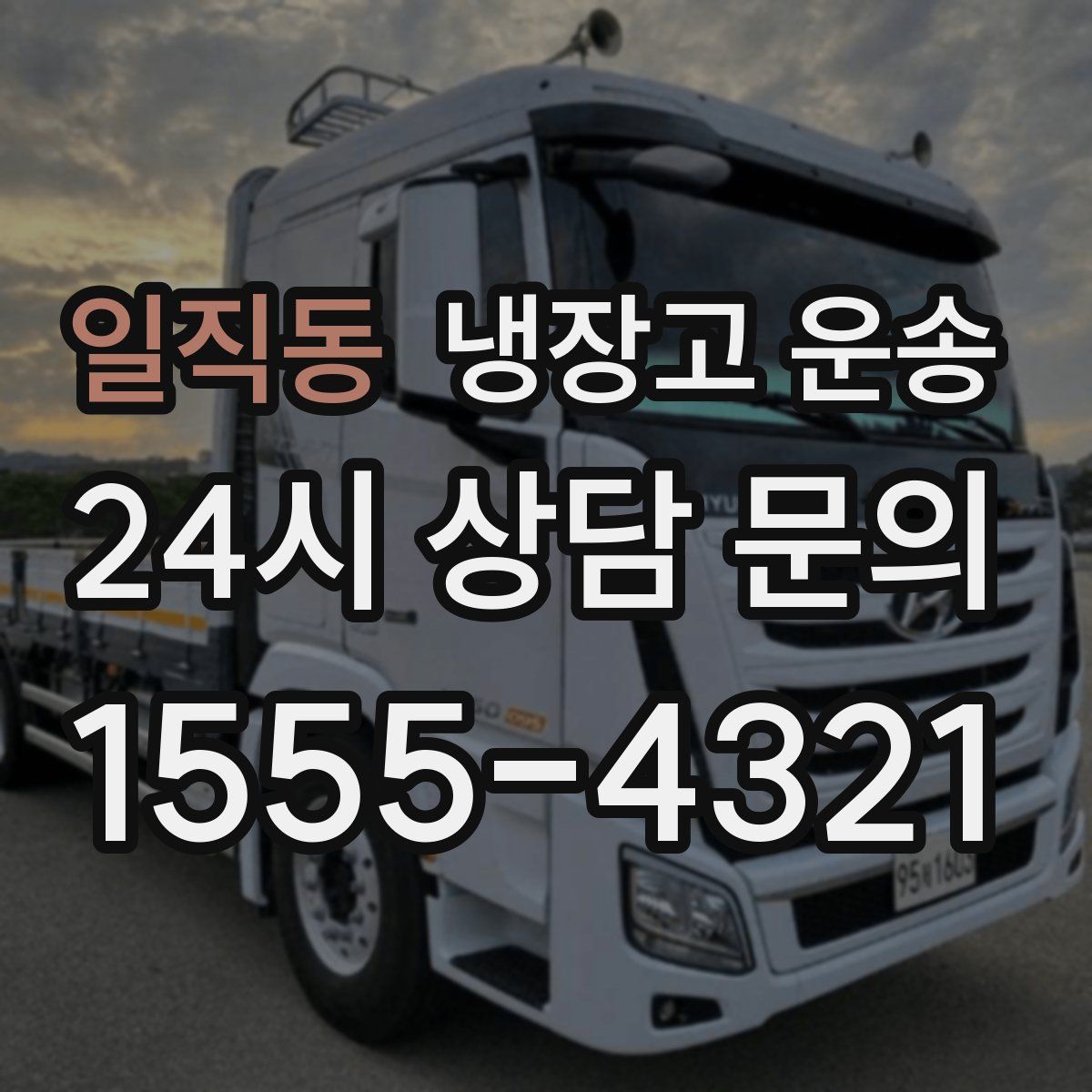 일직동 냉장고 운송
