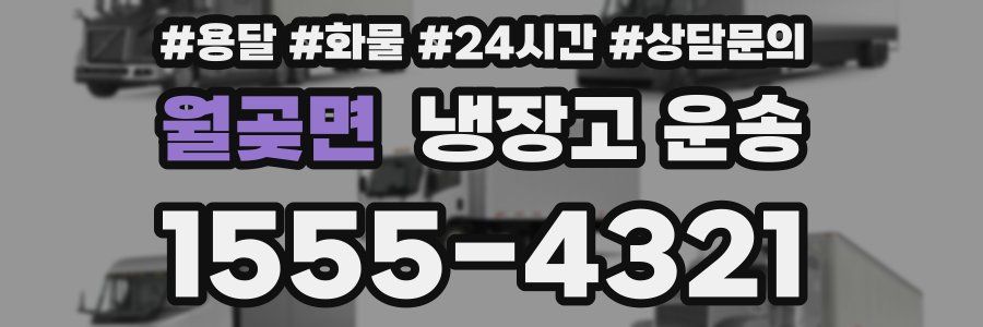 월곶면 냉장고 운송