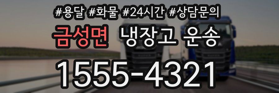 금성면 냉장고 운송