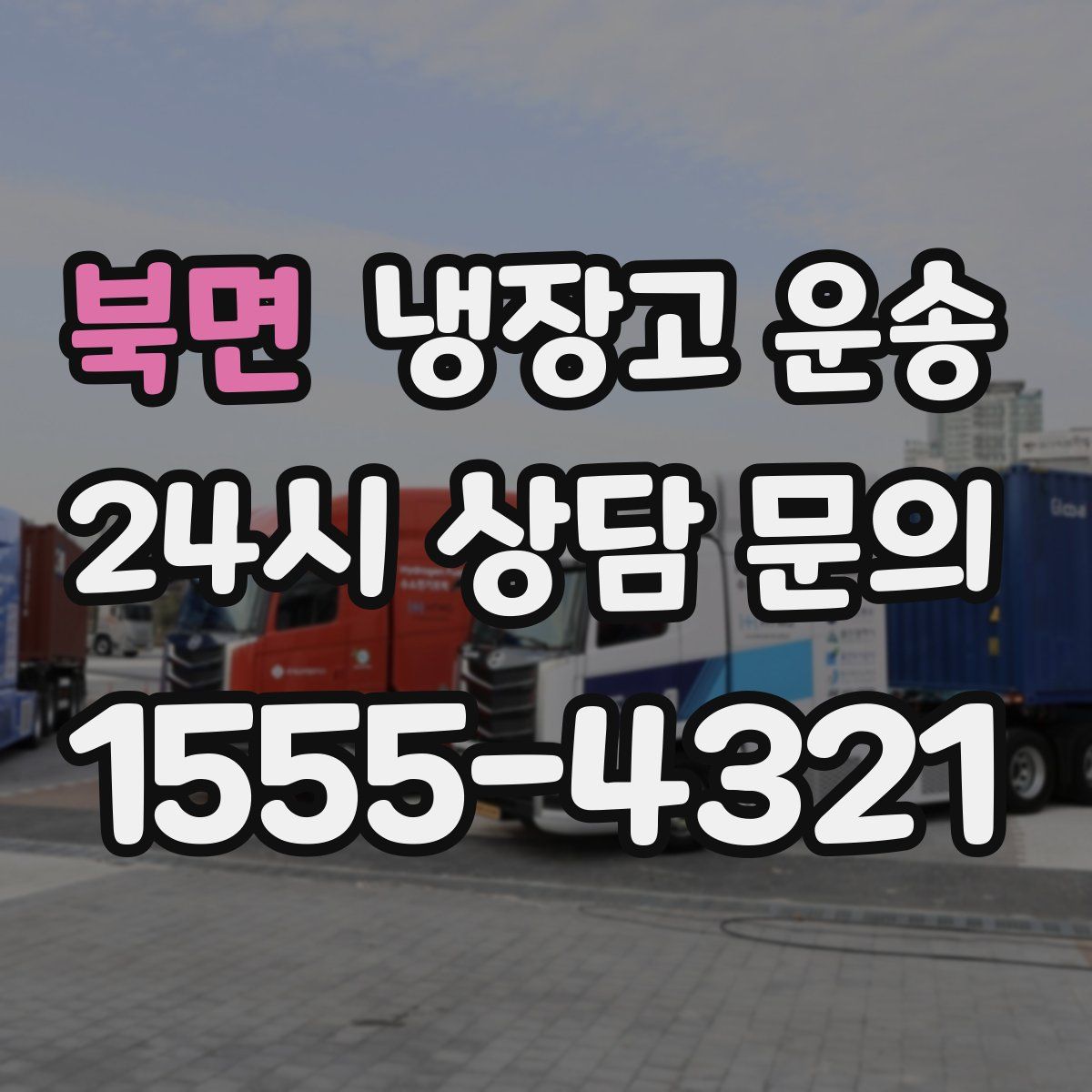 북면 냉장고 운송