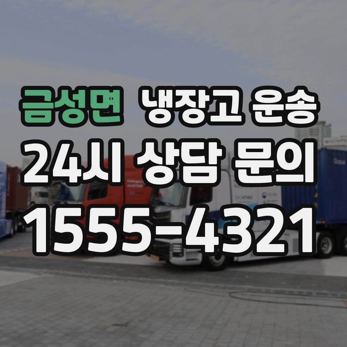 금성면 냉장고 운송