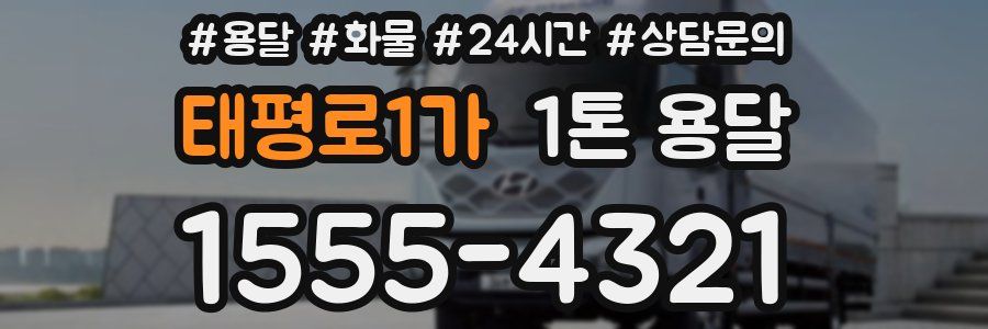 태평로1가 1톤 용달