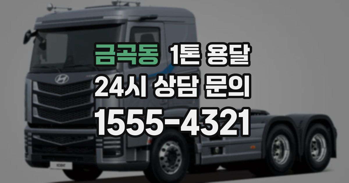 금곡동 1톤 용달