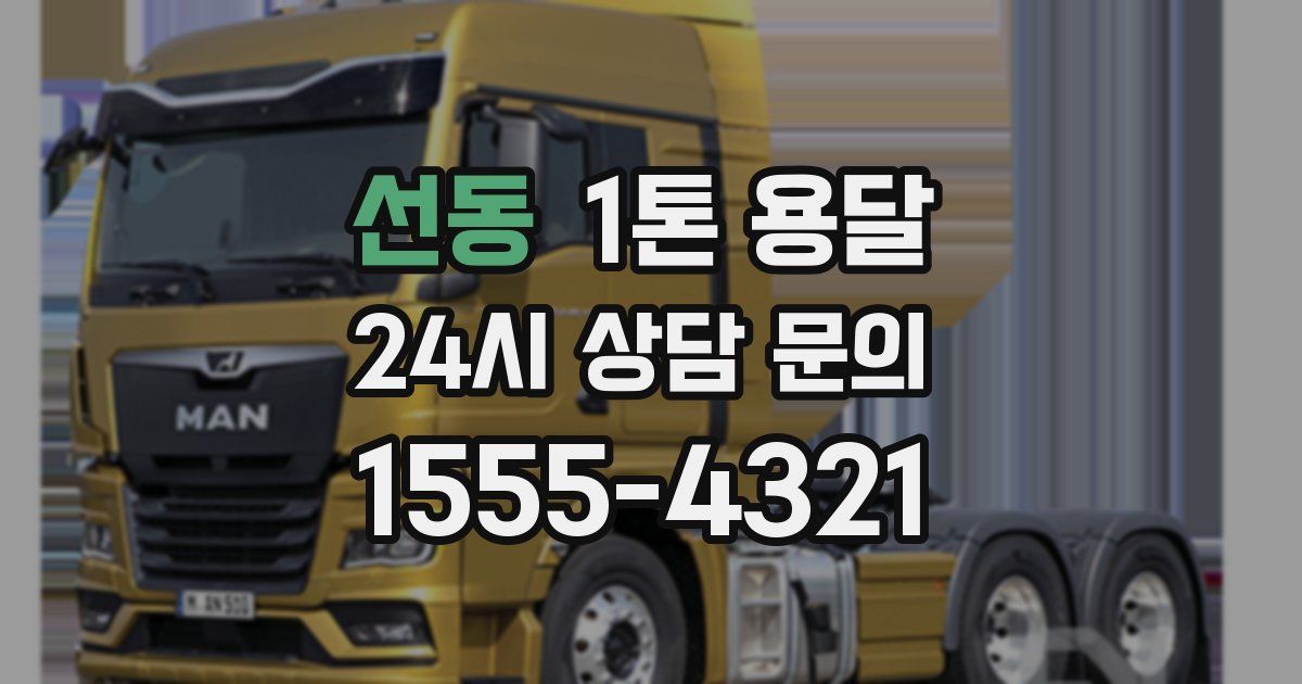 선동 1톤 용달