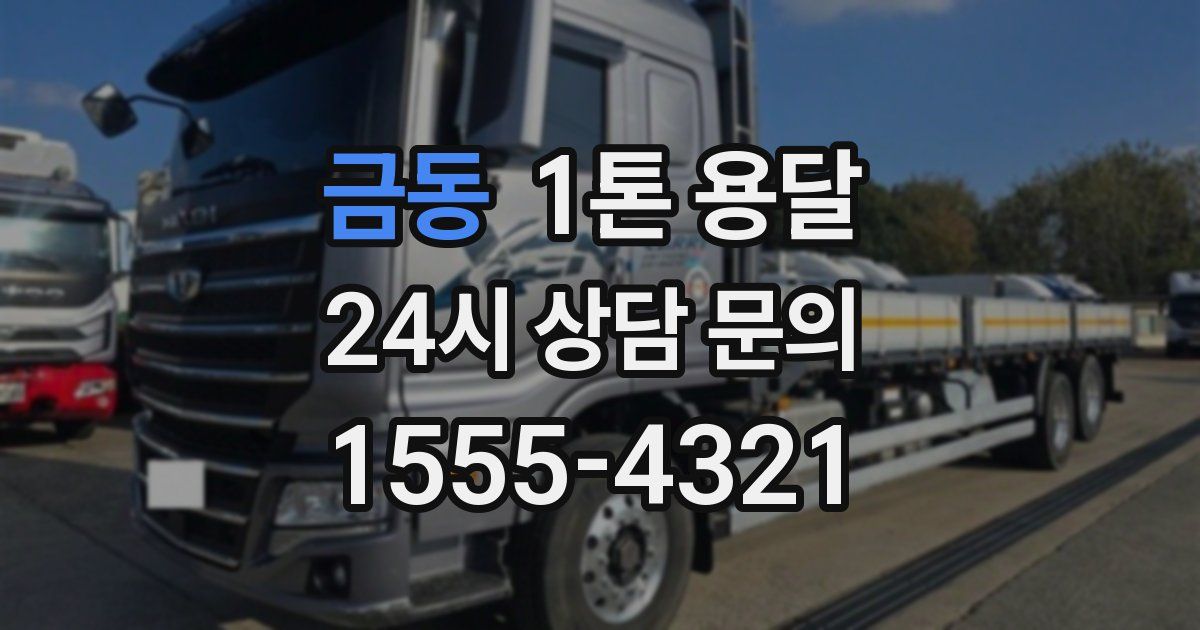 금동 1톤 용달