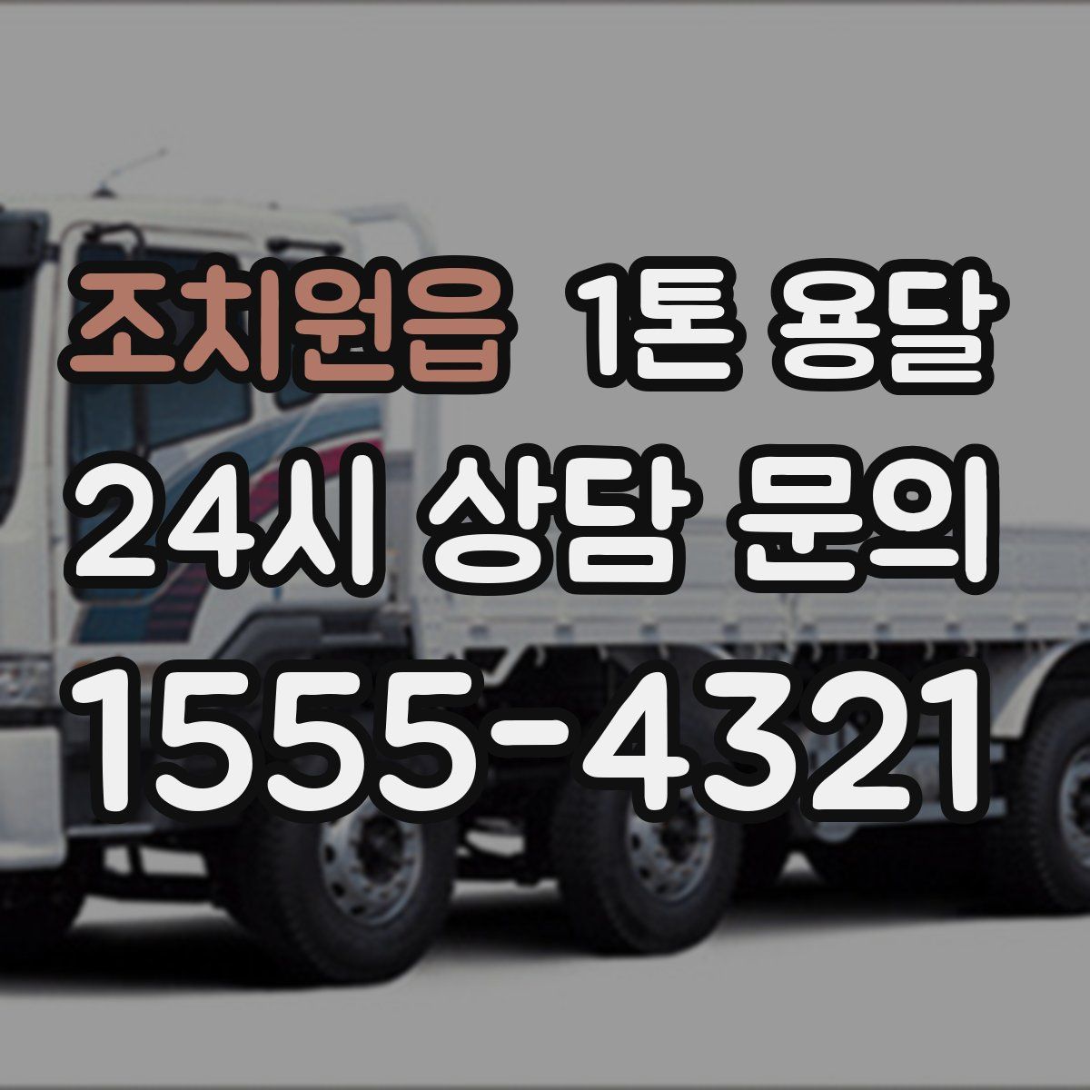 조치원읍 1톤 용달